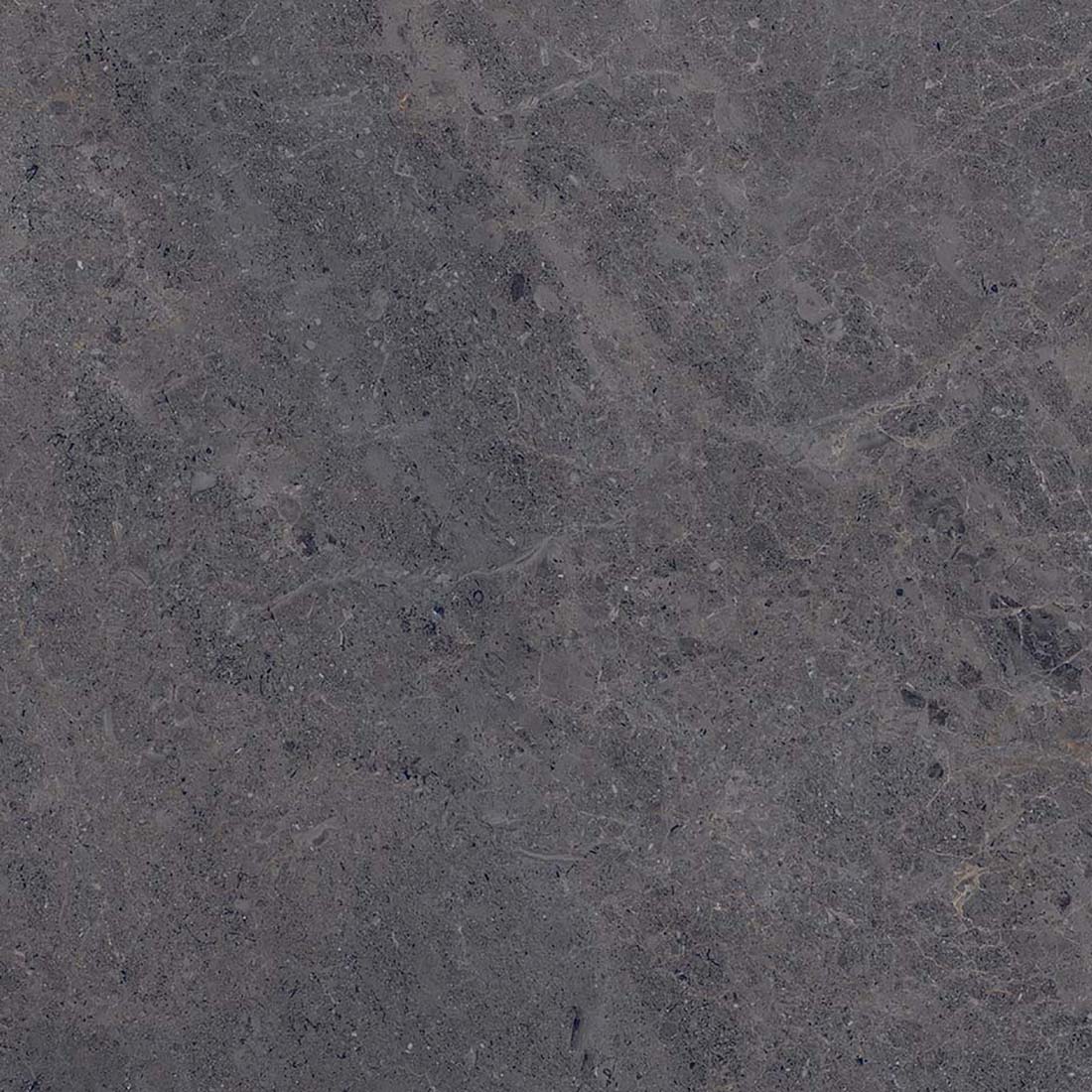 Fossil Anthracite 60x60 Polished